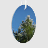 De sneeuw-getipte Boom van de Pijnboom op Blauwe Ornament (voorkant)