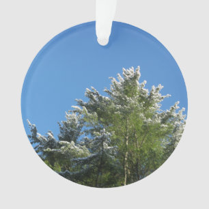 De sneeuw-getipte Boom van de Pijnboom op Blauwe Ornament
