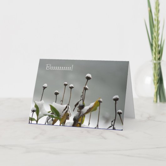 De sneeuw Kerstkaart van Stammen Feestdagen Kaart (Voorkant)