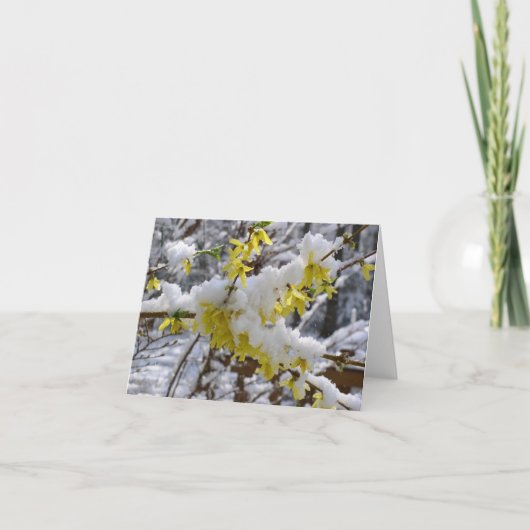 De Sneeuw Notecard van de lente Kaart (Voorkant)