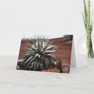 De Sneeuw van de lente in Sedona Kaart