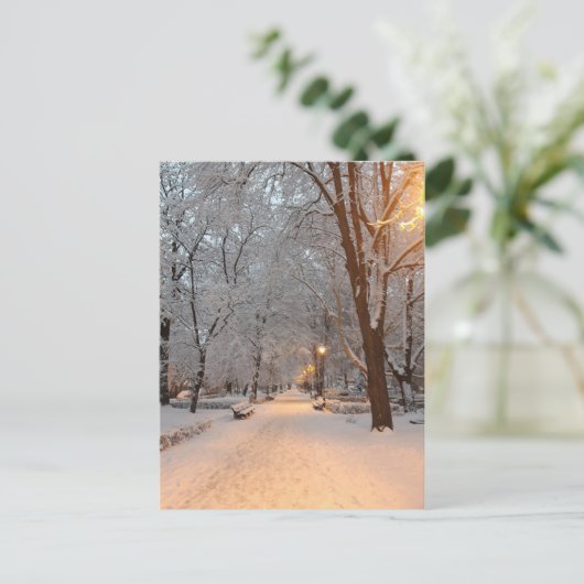 De Sneeuw van de winter in de Kaart van de (Staand voorkant)