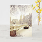 De Sneeuw van het Central Park - de Winter New Kaart (Gele Bloem)