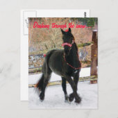 De sneeuw wordt doorgesneden... briefkaart (Voorkant / Achterkant)