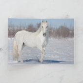 De sneeuwhengst en het Wenskaart van het boompaard Kaart (Binnen)