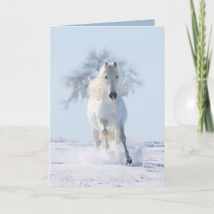 De sneeuwhengst en het Wenskaart van het boompaard Kaart
