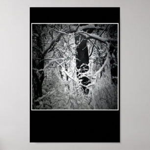 de sneeuwkoningin poster