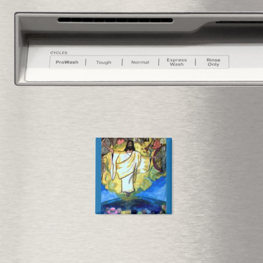 DE SNELLE magneet (Insitu (Vaatwasser))