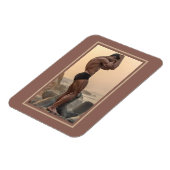 De snelste Hunks op de planeet! Tijd voor gelijkhe Magneet (Linkerzijde)