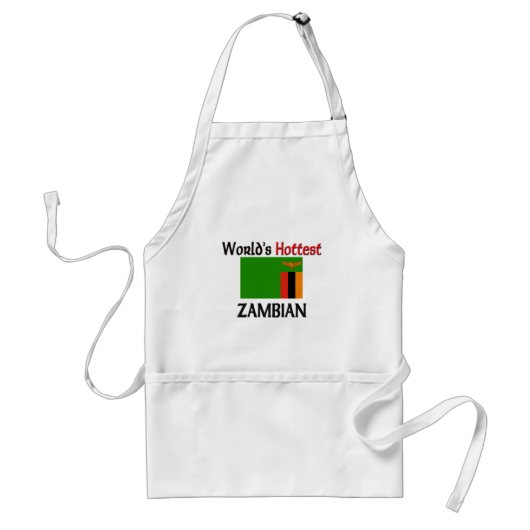 De snelste Zambiaan ter wereld Standaard Schort (Voorkant)