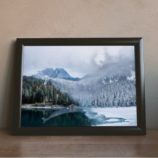 De Snowy Owl: Bringer van de Winter Poster