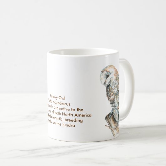 De Snowy Owl Mok (Voorkant rechts)