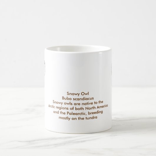 De Snowy Owl Mok (Center)