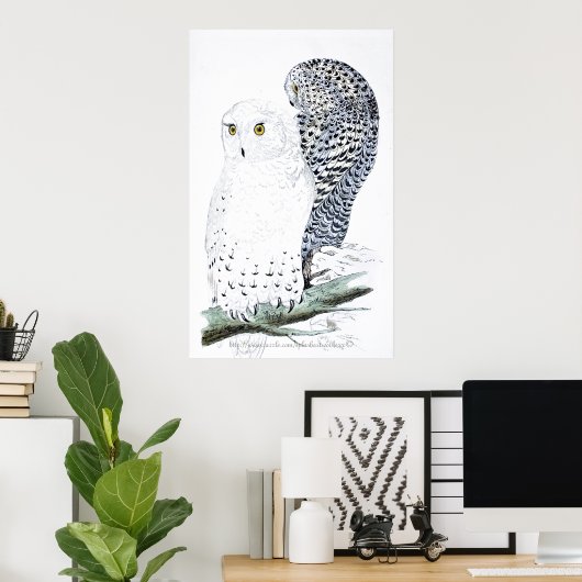 "De Snowy Owl ~Official bird of Quebec" Poster (Thuiskantoor)