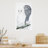 "De Snowy Owl ~Official bird of Quebec" Poster (Keuken)