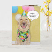 De Snuivende Hond van de cake Kaart (Gele Bloem)