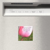 De sol magneet (Insitu (Vaatwasser))