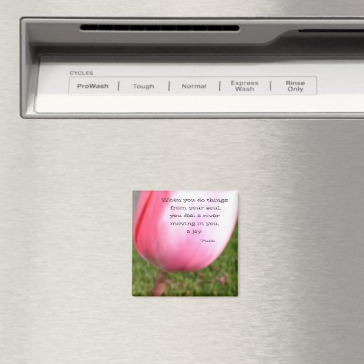 De sol magneet (Insitu (Vaatwasser))