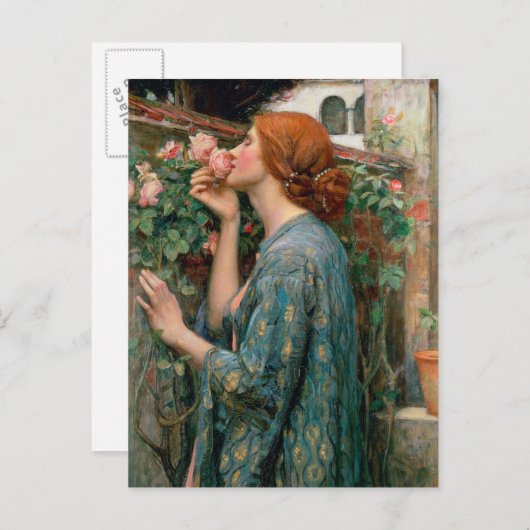 De sol van het Roos, 1908 Briefkaart (Voorkant / Achterkant)