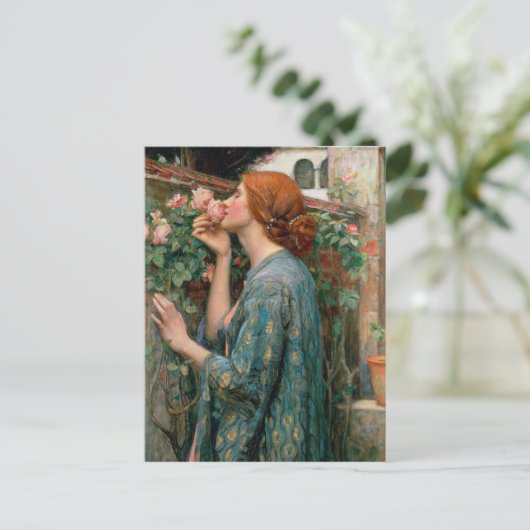 De sol van het Roos, 1908 Briefkaart (Staand voorkant)