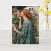 De sol van het Roos, 1908 Kaart (Gele Bloem)