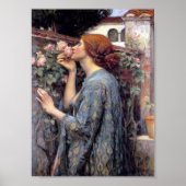 De sol van het Roos druk Poster (Voorkant)