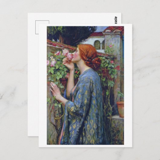 De sol van het Roos, John William Waterhouse Briefkaart (Voorkant / Achterkant)