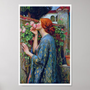De sol van het Roos, John William Waterhouse Poster