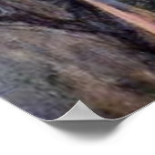 De sol van het Roos of Mijn zoete Roos - 1908 Poster (Hoek)