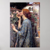 De sol van het Roos of Mijn zoete Roos - 1908 Poster (Voorkant)