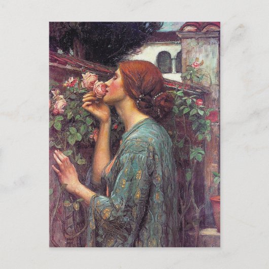 De sol van het Roos van John W. Waterhouse Briefkaart (Voorkant)