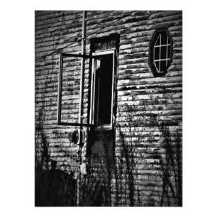 "De sol vrijlaten" Foto Afdruk