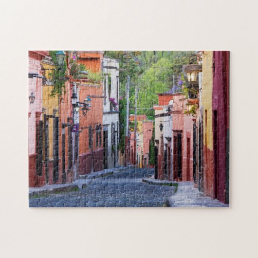 De Sollano Street, San Miguel De Allende Legpuzzel (Horizontaal)