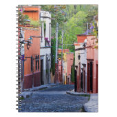 De Sollano Street, San Miguel De Allende Notitieboek (Voorkant)