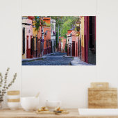 De Sollano Street, San Miguel De Allende Poster (Keuken)