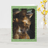 De Somalische Kaart van de Sympathie van de Kat (Gele Bloem)