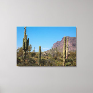 De Sonorawoestijn van Arizona Canvas Afdruk