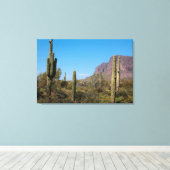 De Sonorawoestijn van Arizona Canvas Afdruk (Insitu (Houten vloer))