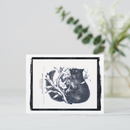 De Sooty Opossum Briefkaart (Staand voorkant)