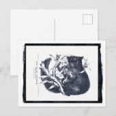 De Sooty Opossum Briefkaart (Voorkant / Achterkant)