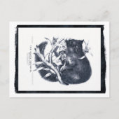 De Sooty Opossum Briefkaart (Voorkant)