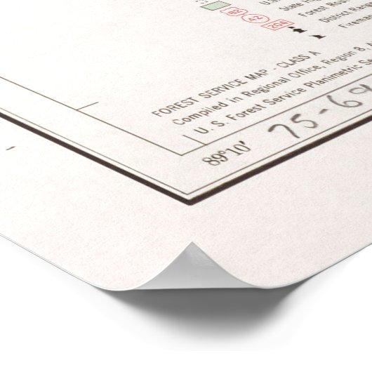 De Soto National Forest Map (1964) Poster (Hoek)