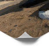 De Soyuz-raket kort na aankomst Poster (Hoek)