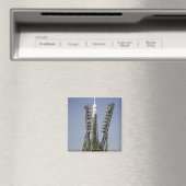 De Soyuz-raket wordt in positie 4 geplaatst Magneet (Insitu (Vaatwasser))