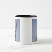 De Soyuz-raket wordt in positie 4 geplaatst Mok (Midden)