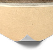 DE SPAANSE COPRIS - INsect Book Illustration Poster (Hoek)