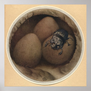 DE SPAANSE COPRIS - INsect Book Illustration Poster