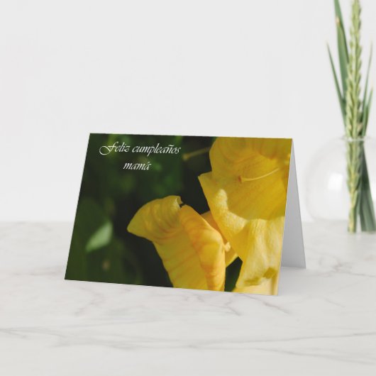 De Spaanse Kaart van de Verjaardag voor Mamma (Voorkant)