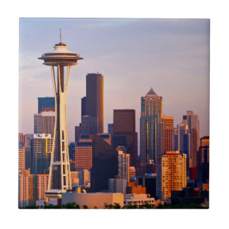 De Space Needle is een toren in Seattle Tegeltje