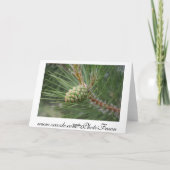 De Spatie van de Kaart van de Denneappel van (Achterkant)